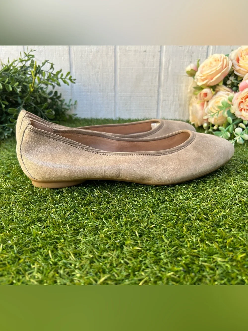 Paul Green Ursula Ballet Flat In Cashmere Suede Metallic women size US 9 $398